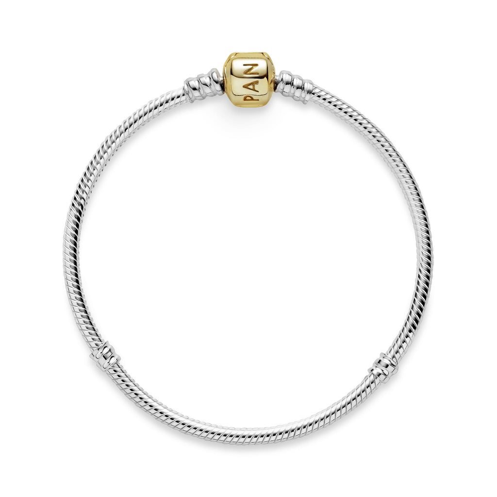 PANDORA Charm Bracelet 14K Gold Bracelets Bracelet Charm Jewelry Gift