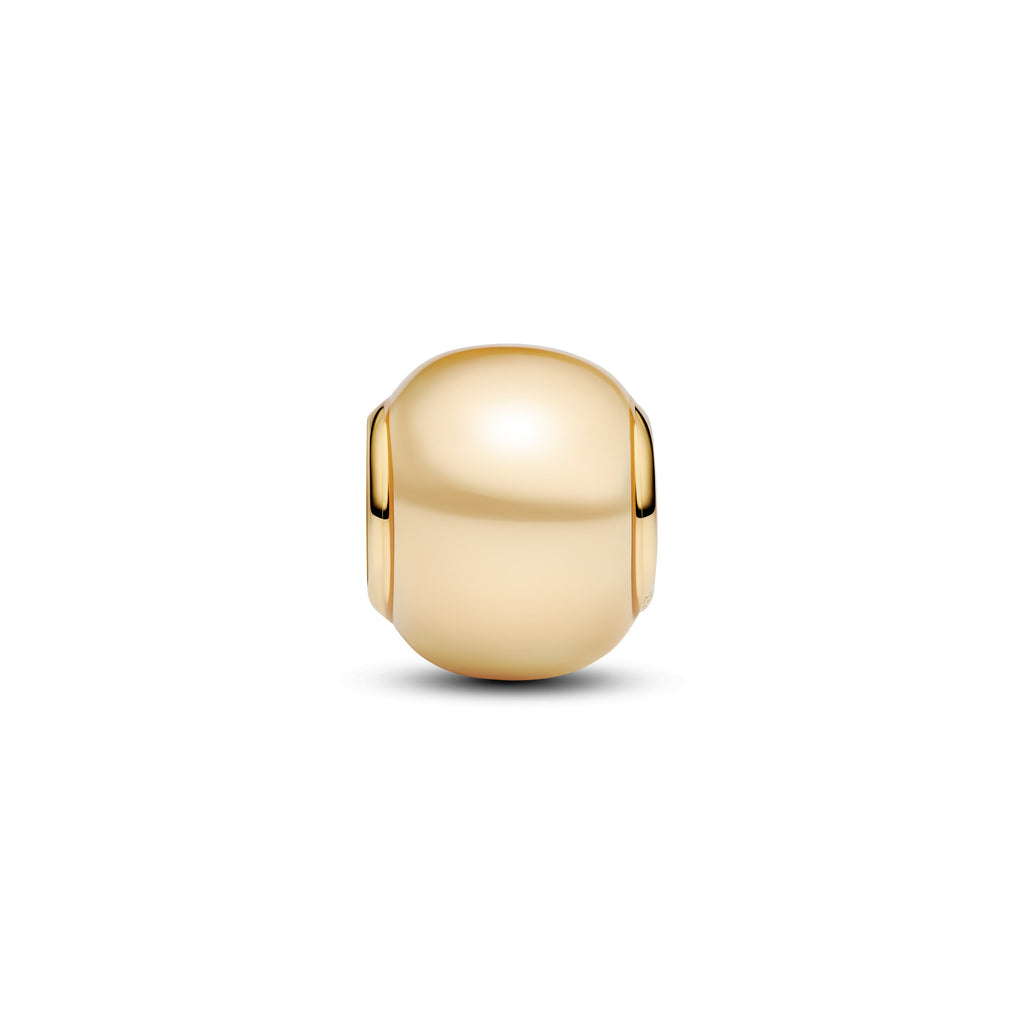 PANDORA Golden Charm 14K Gold Plated Unique Metal Blend Symbols Charms Bracelet Charm Jewelry Gift