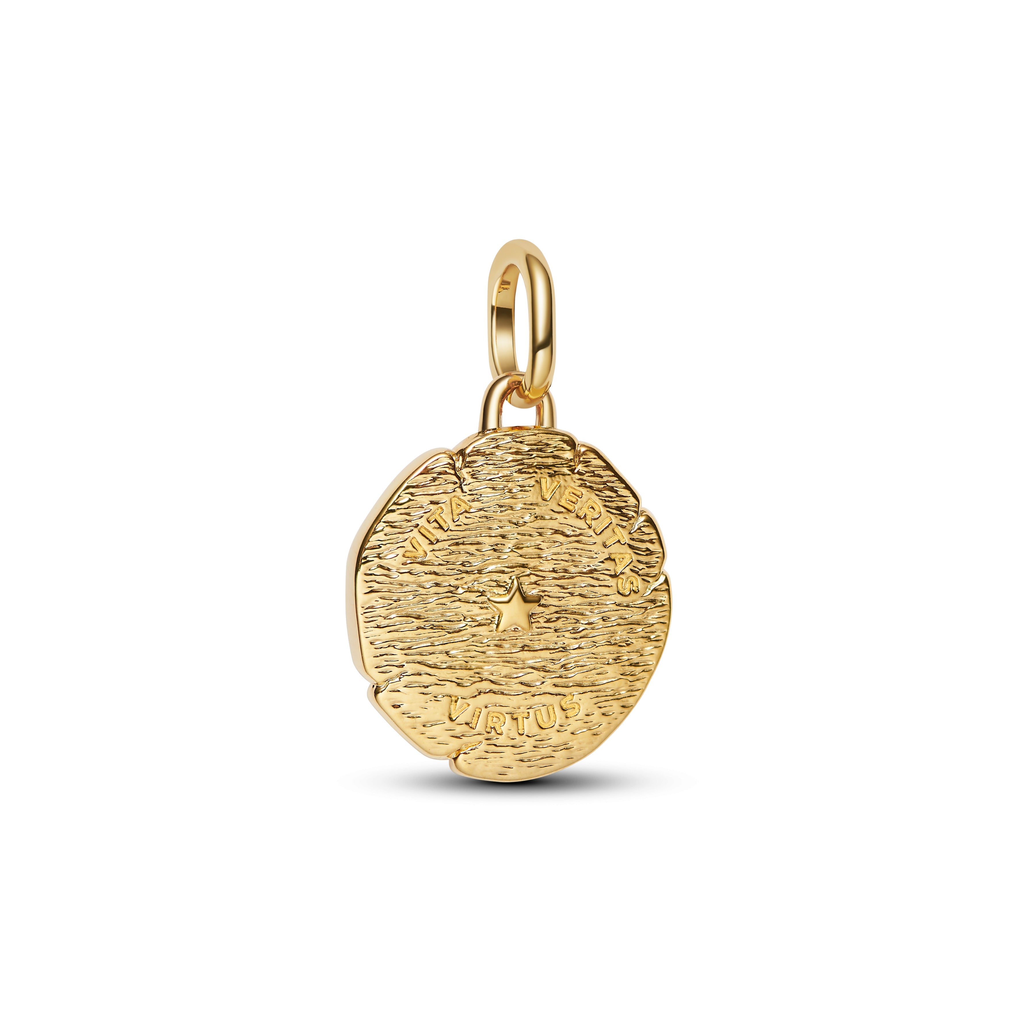PANDORA Lion Medallion Charm 14K Gold Plated Unique Metal Blend Animals Charms Bracelet Charm Jewelry Gift