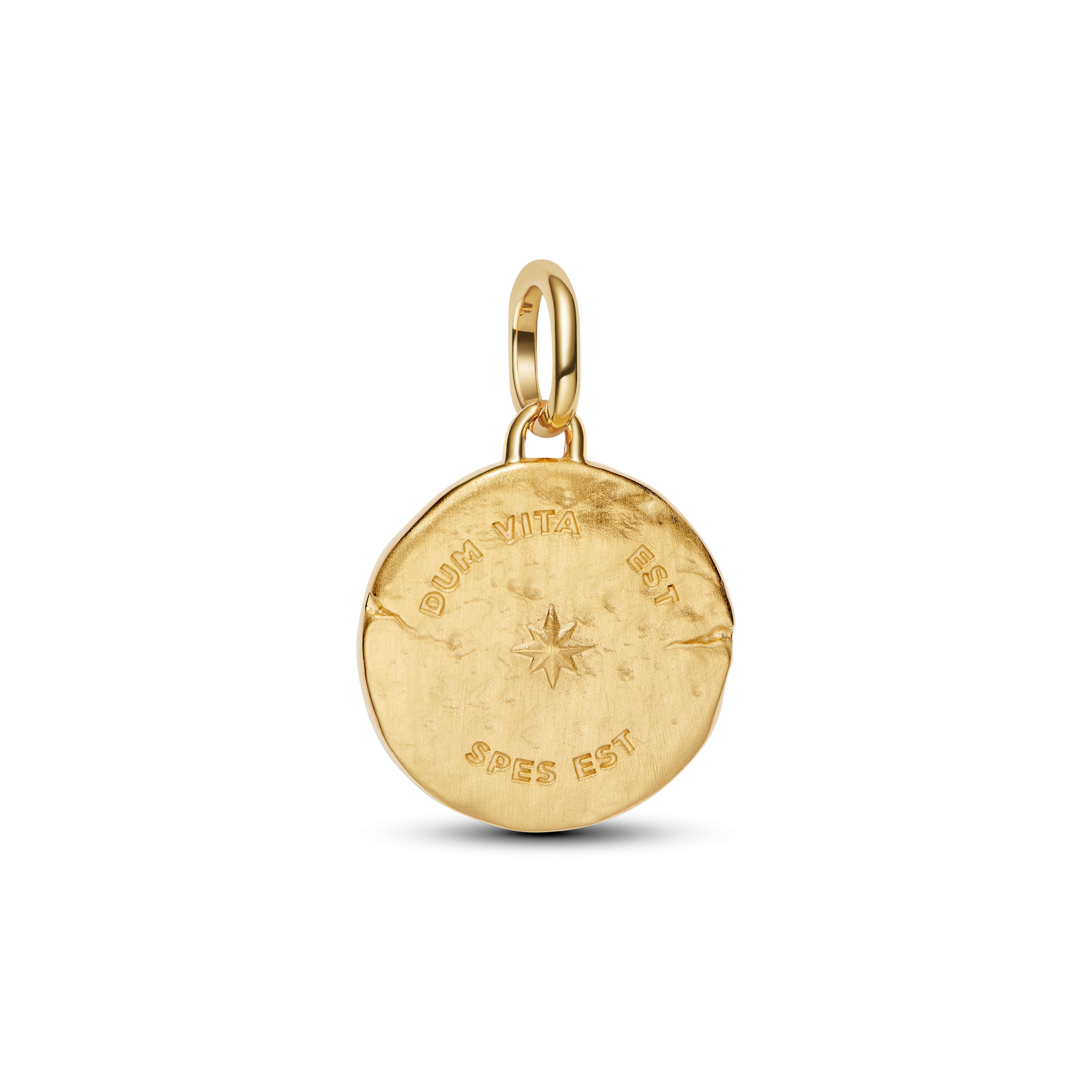 PANDORA Swallow Medallion Charm 14K Gold Plated Unique Metal Blend Animals Charms Bracelet Charm Jewelry Gift