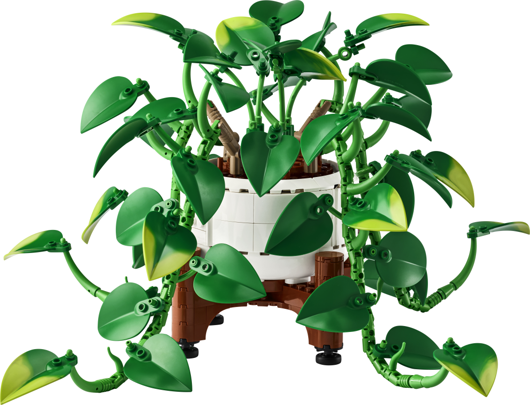 LEGO Botanicals Hanging Golden Pothos | 11512