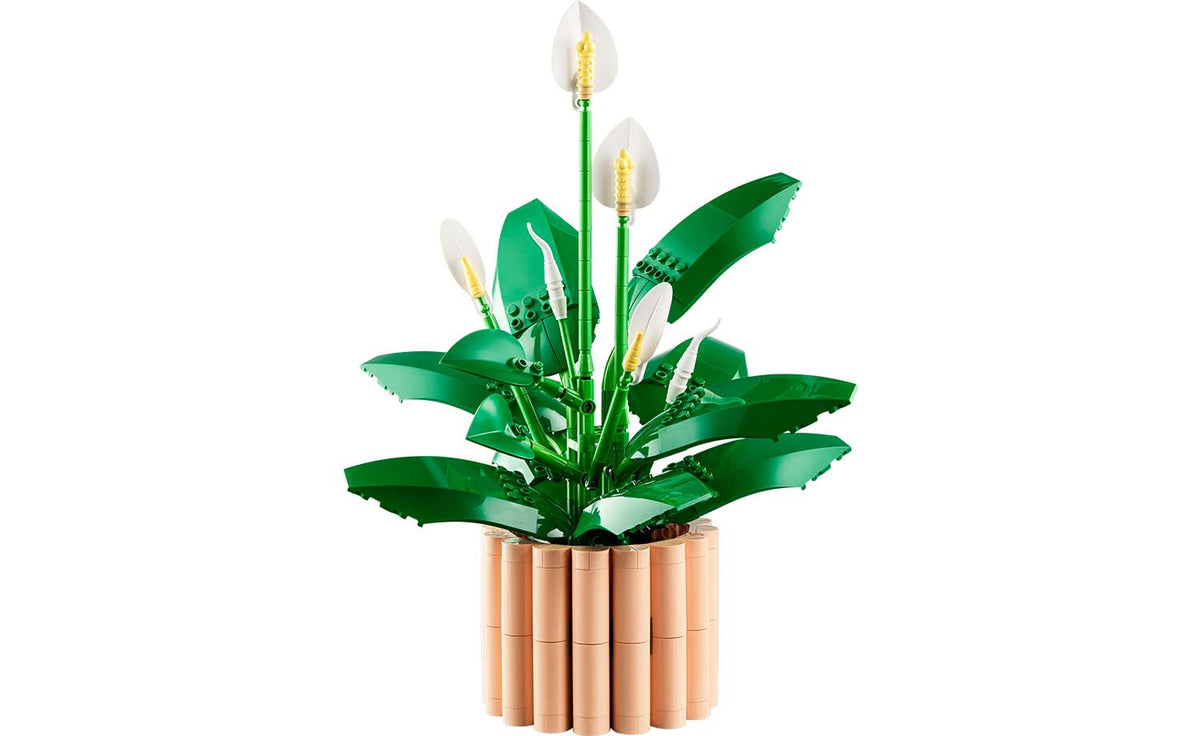 LEGO Botanicals Peace Lily | 11504